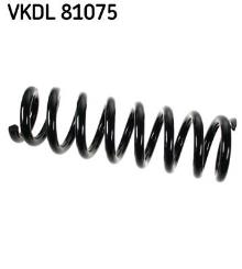 SKF VKDL 81075